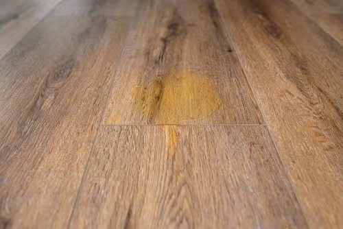 d9843e993977d471f050778875583d55 d9843e993977d471f050778875583d55