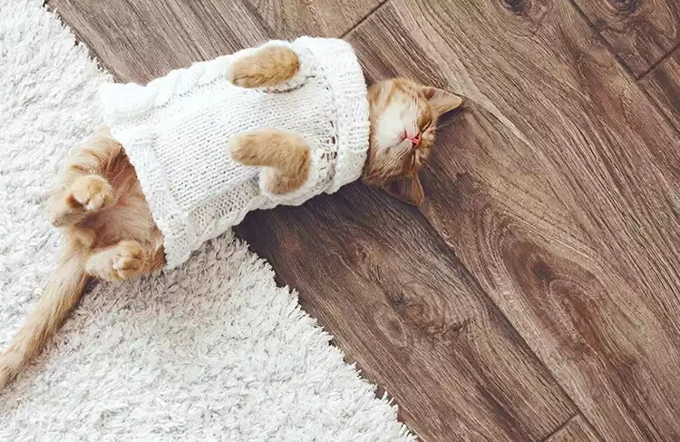 SPC Flooring FAQs SPC Flooring FAQs