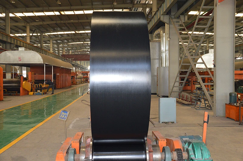 steel cord conveyor belt