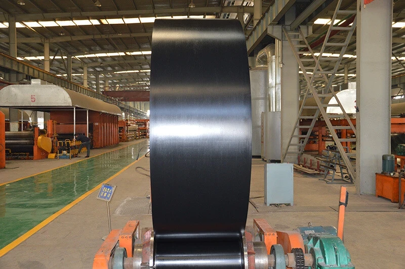 steel cord conveyor belt