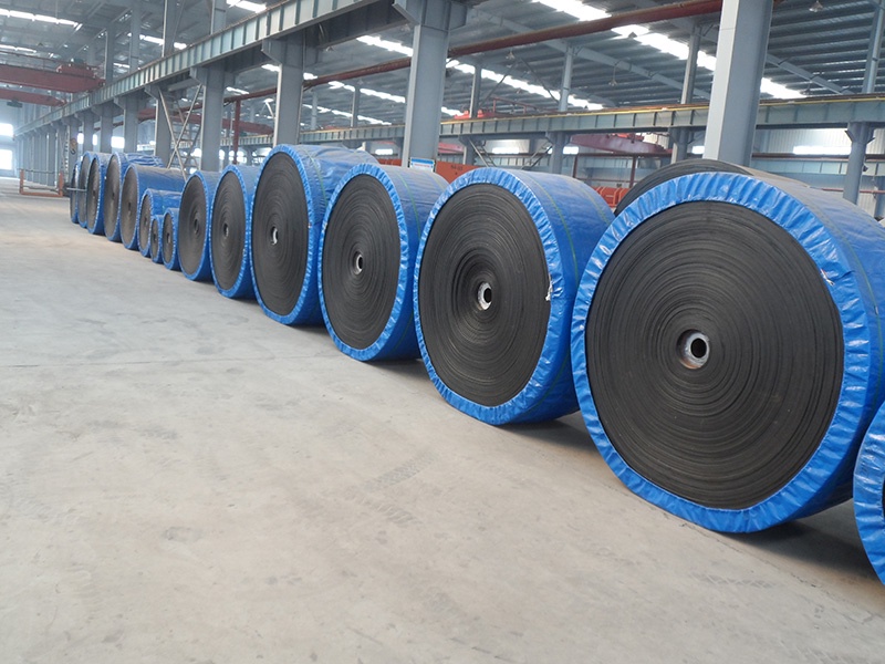 steel cord conveyor belt