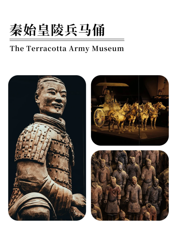 시안 5일 심층 여행