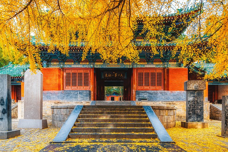 深度少林功夫之旅