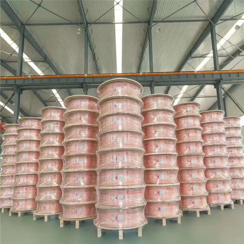 Copper coil tube (1) Copper coil tube (1)