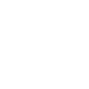 logo1
