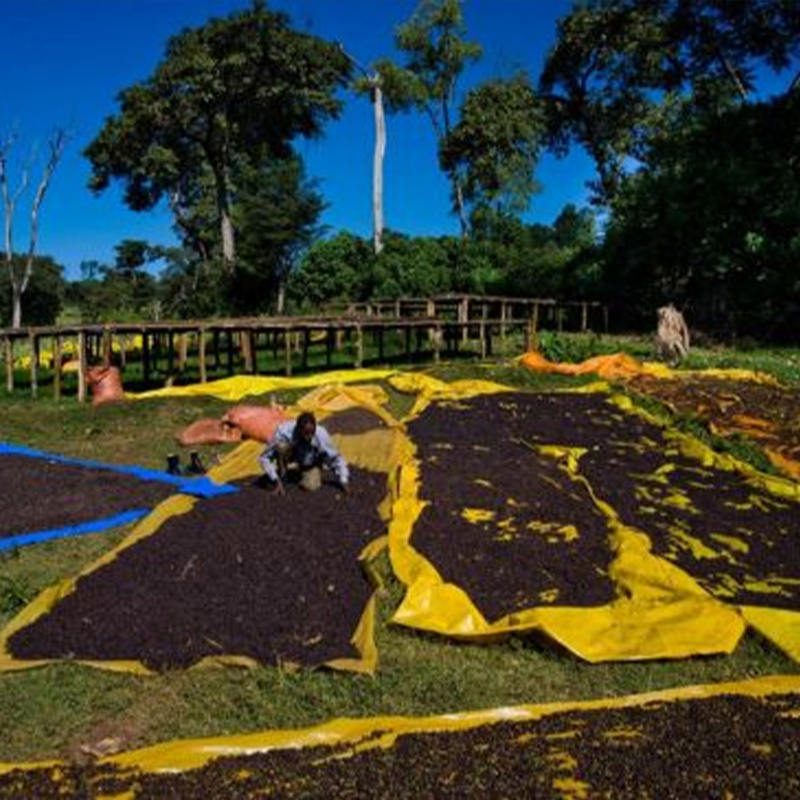 耶加雪菲（Yirgacheffe）咖啡