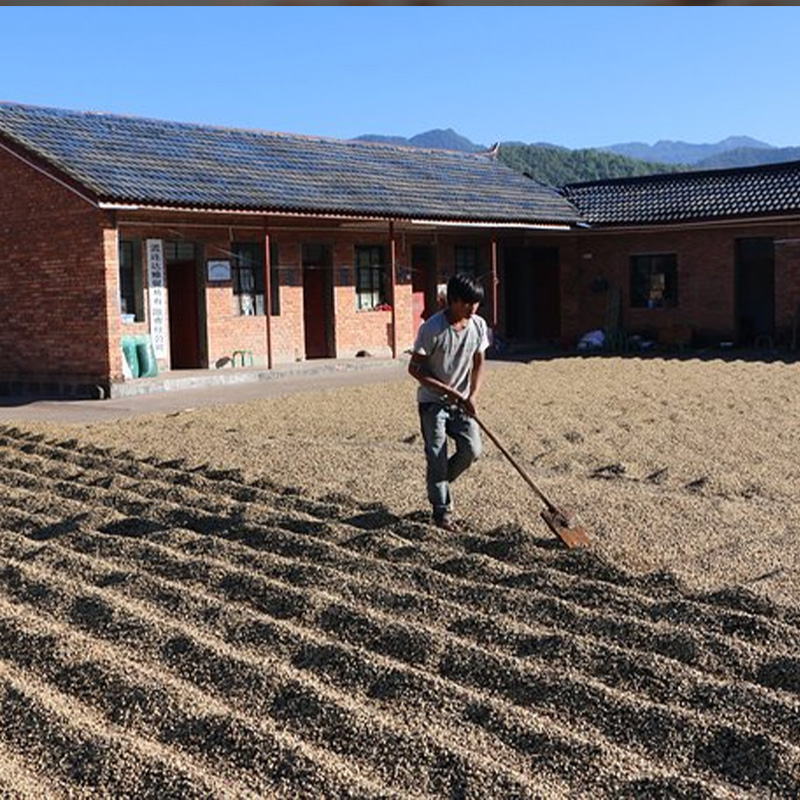 耶加雪菲（Yirgacheffe）咖啡