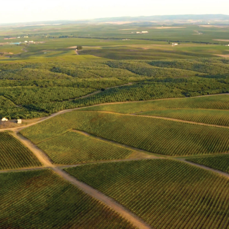 生态足迹 —— 守护自然资源