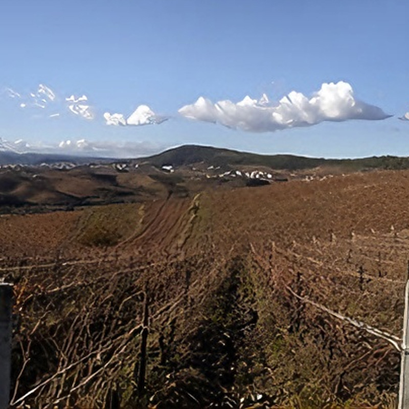 后山 | Trás-os-Montes