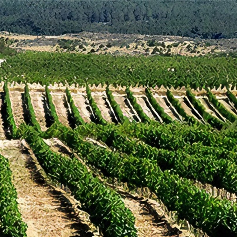 贝拉英德黑拉 | Beira Interior