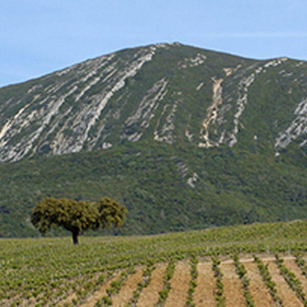 塞图巴尔半岛 | Península de Setúbal