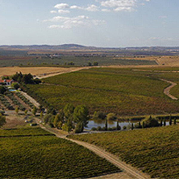 阿连特茹 | Alentejo