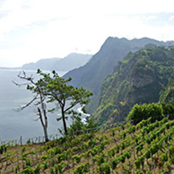 马德拉群岛 | Madeira