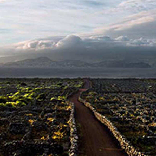 亚速尔群岛 | Azores