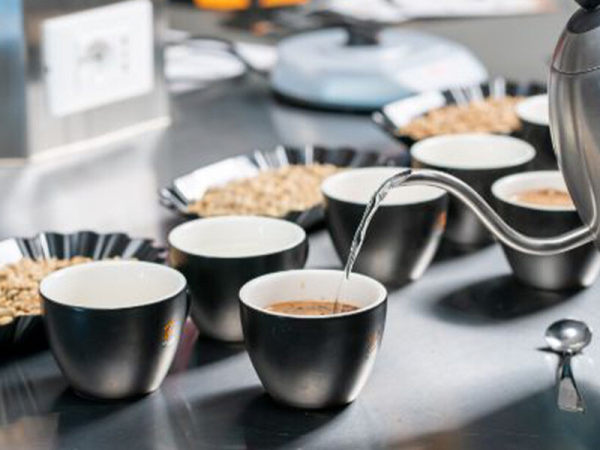 professional-academy-estrazioni