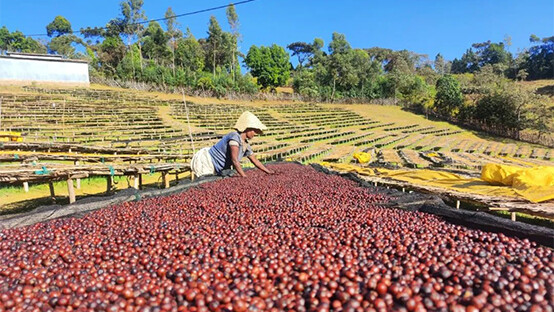 3zhang_0002_aca7a34ba94e66f5704bd8200d92cb07