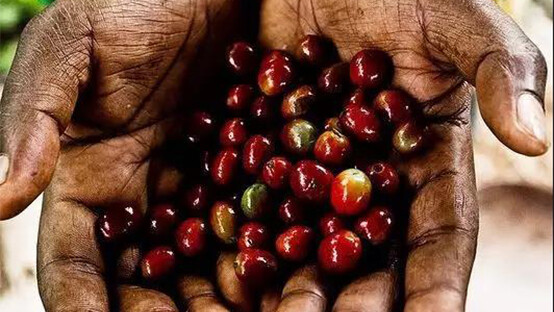 3zhang_0000_d047a9f72a3314f2eb0bb320f1419a20