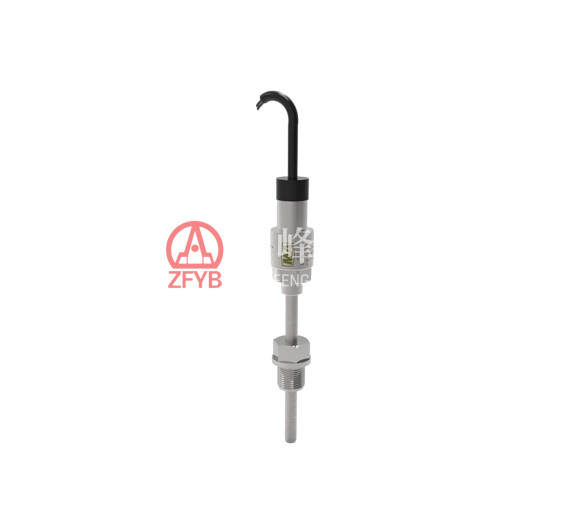 BWD200 Взрывозащищенный температурный передатчик для горной промышленности