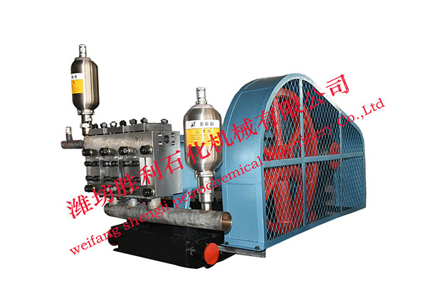 Polymer injection pump