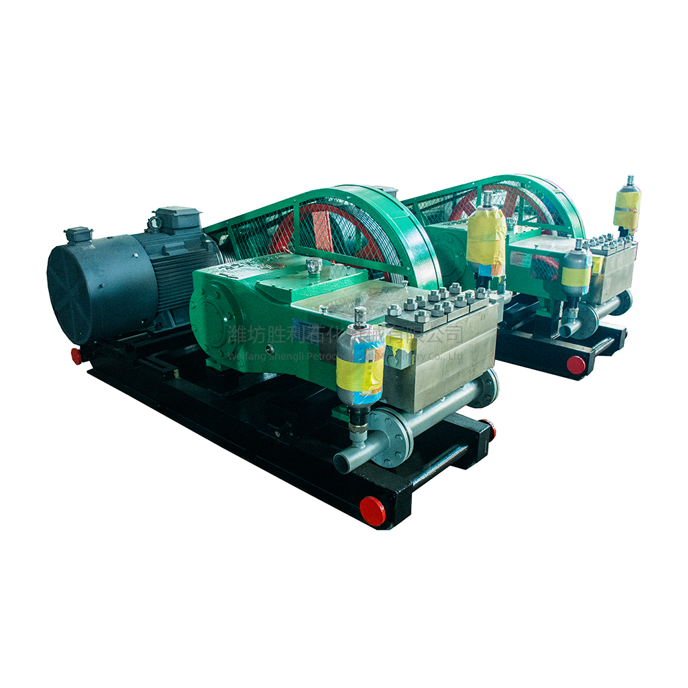 Polymer injection pump