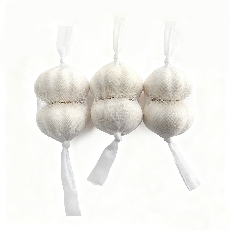 Two Bulbs Fresh Garlic