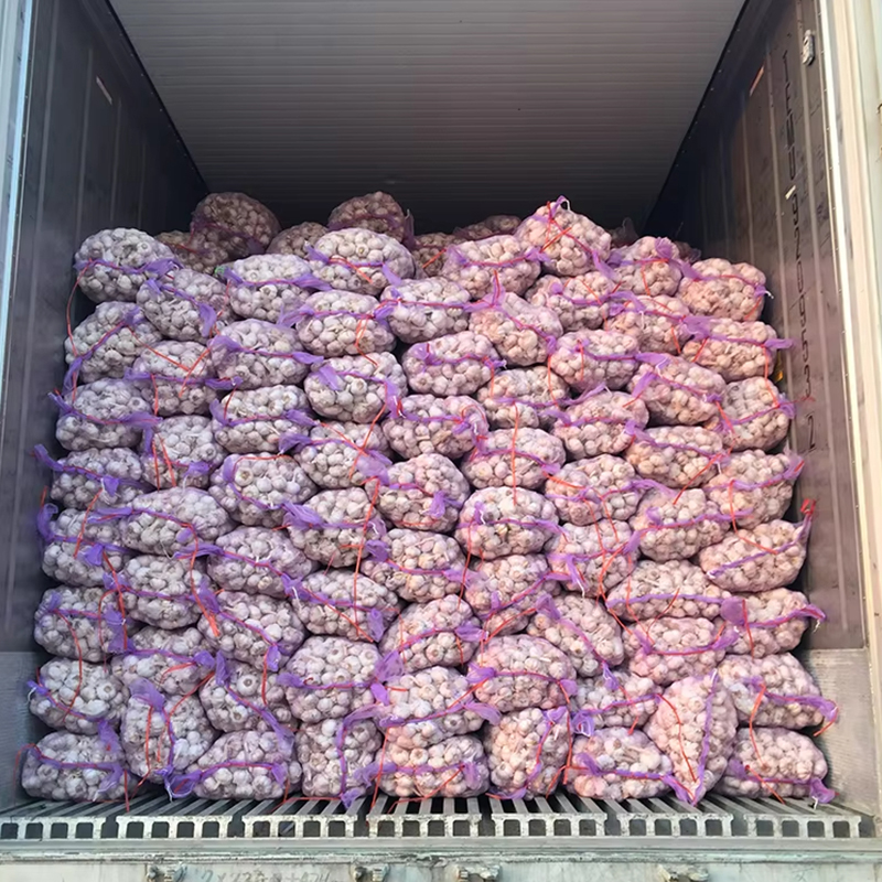 Two Bulbs Fresh Garlic