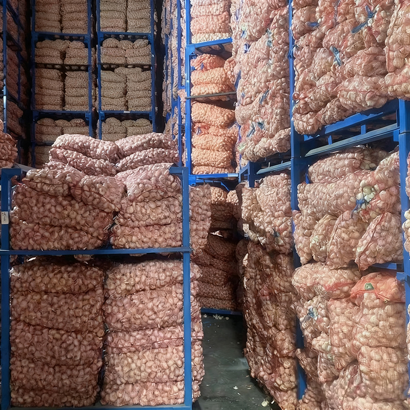 China Fresh Garlic Wholesaler