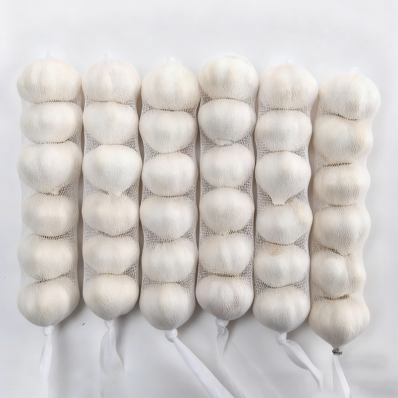 White Garlic Wholesale