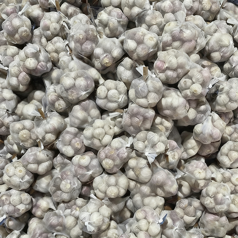 Fresh Purple Garlic Manufacturer