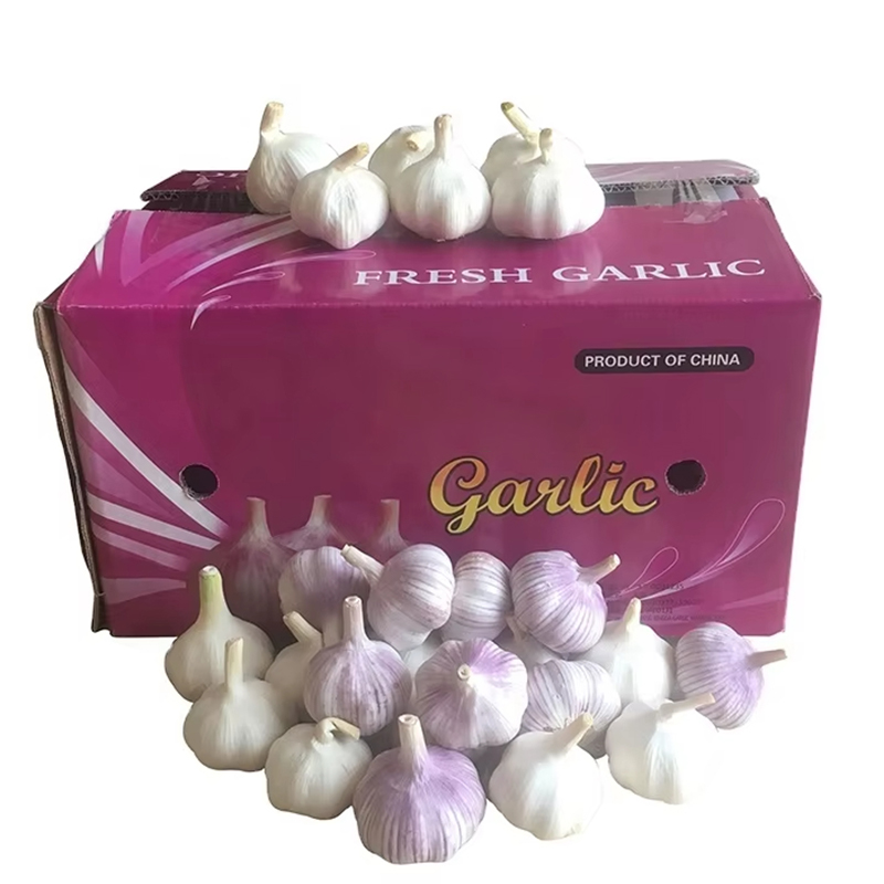 Bulk Garlic Bulbs For Sale