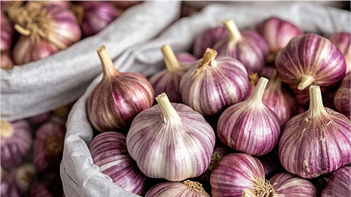 The Health Secrets of Garlic