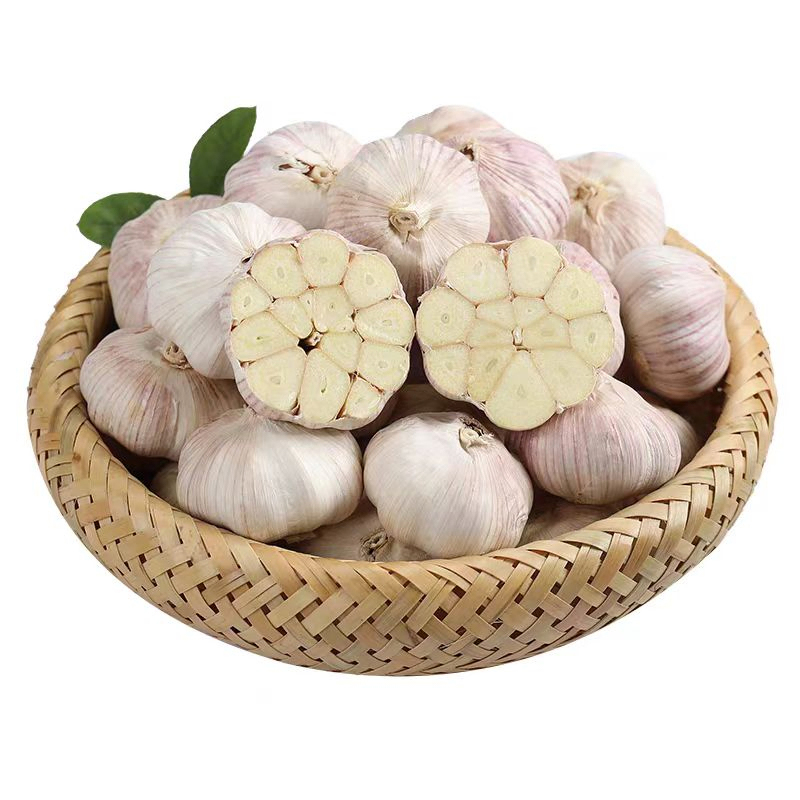 Orgnic Red Garlic in Bulk