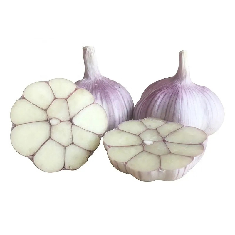 Normal White Garlic