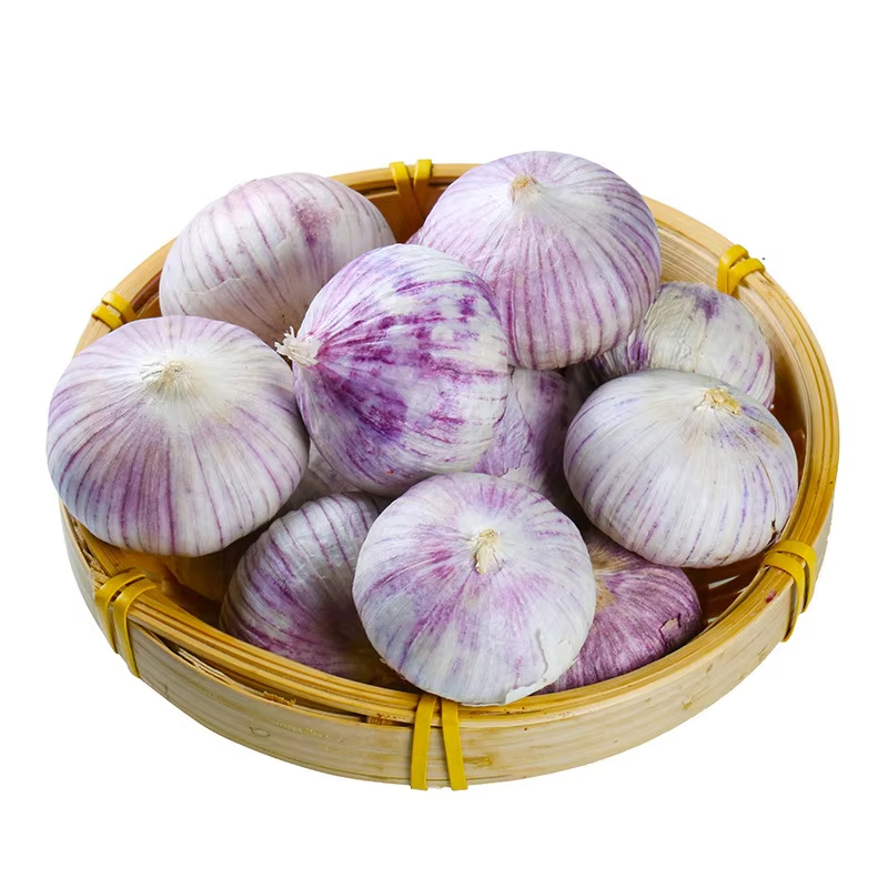 Solo Garlic