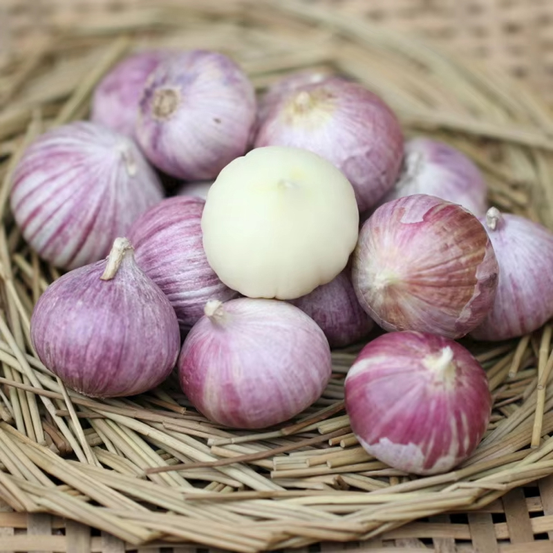 Solo Garlic