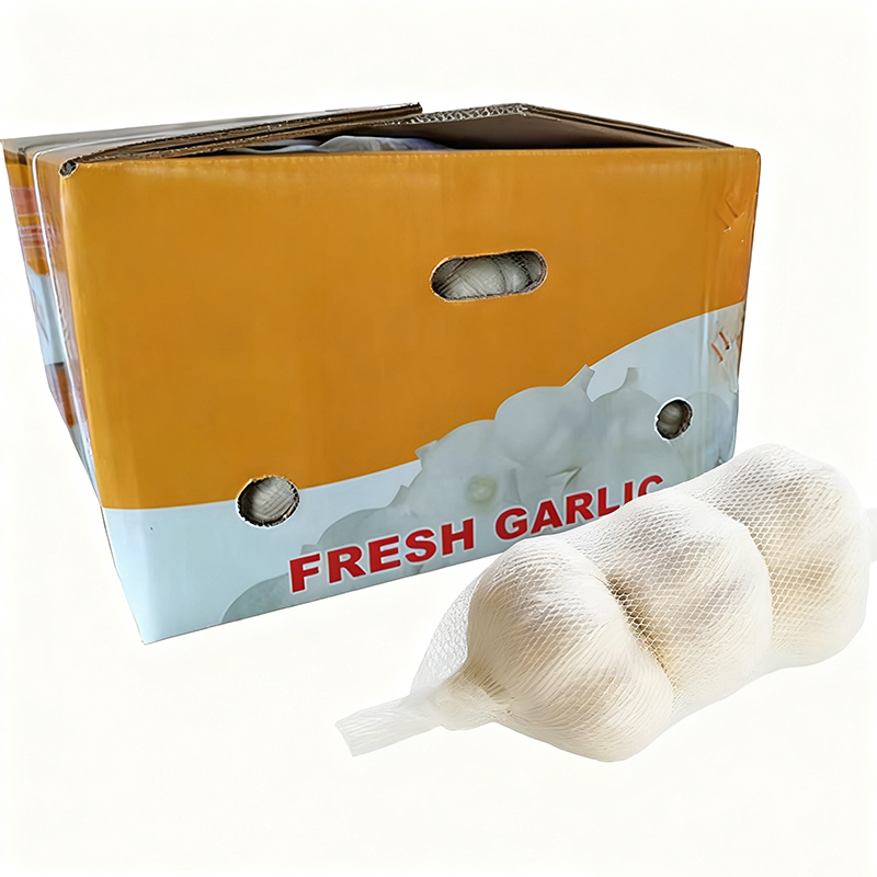 Normal White Garlic 10kg carton	