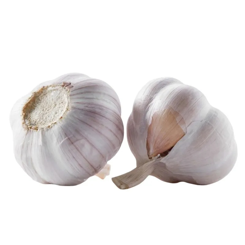 Fresh Pure White Garlic Small Package