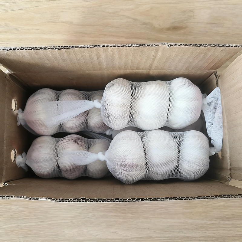 Fresh Pure White Garlic Small Package