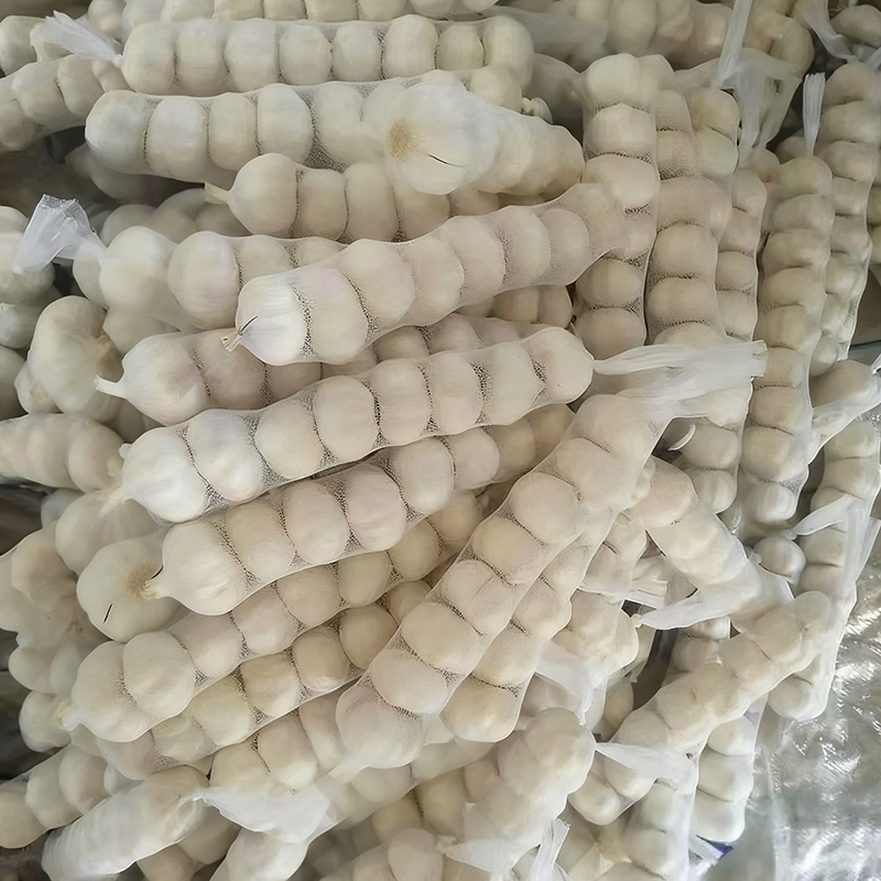 Fresh Pure White Garlic Small Package