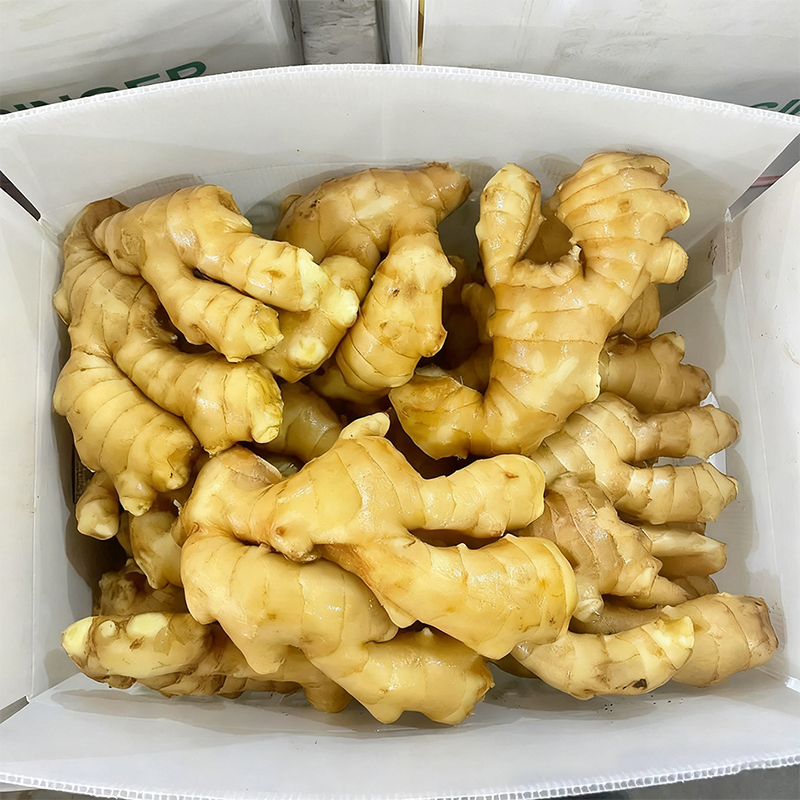 Ginger Wholesale