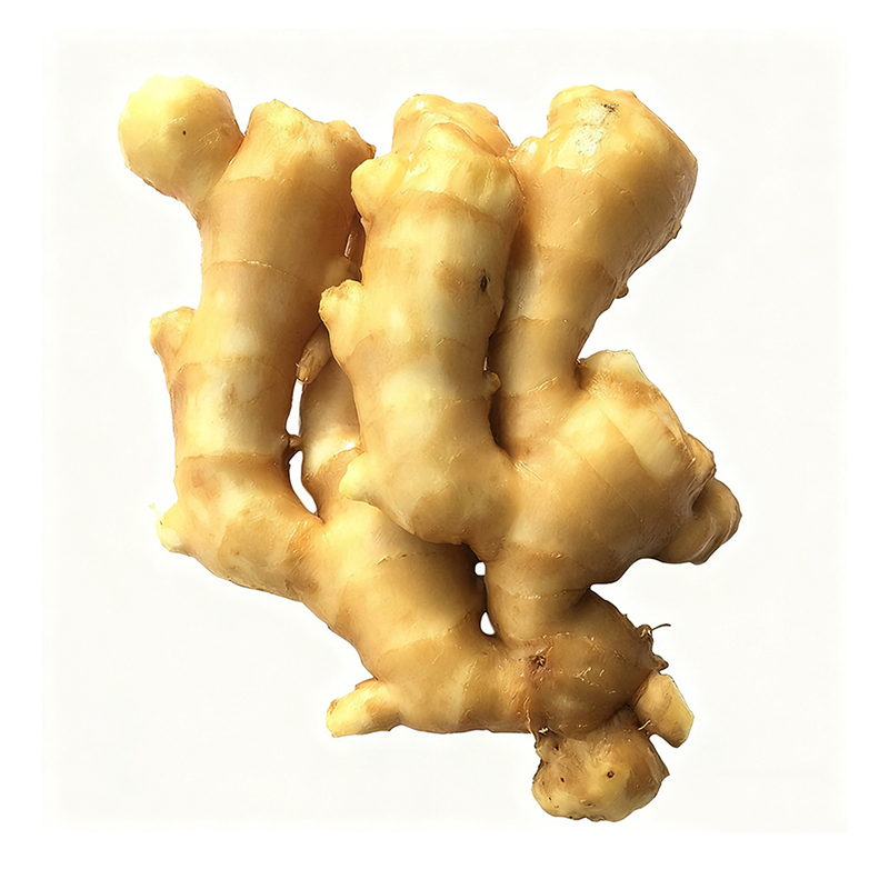 Fresh Ginger Carton Packing Inside Plastic Bag