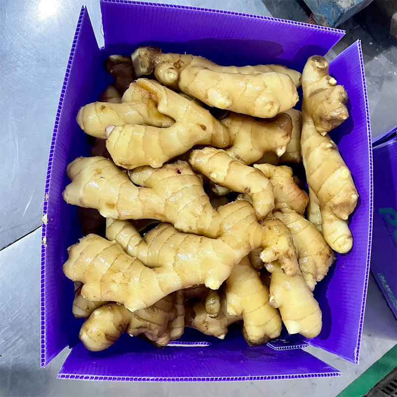 Fresh Ginger Carton Packing Inside Plastic Bag