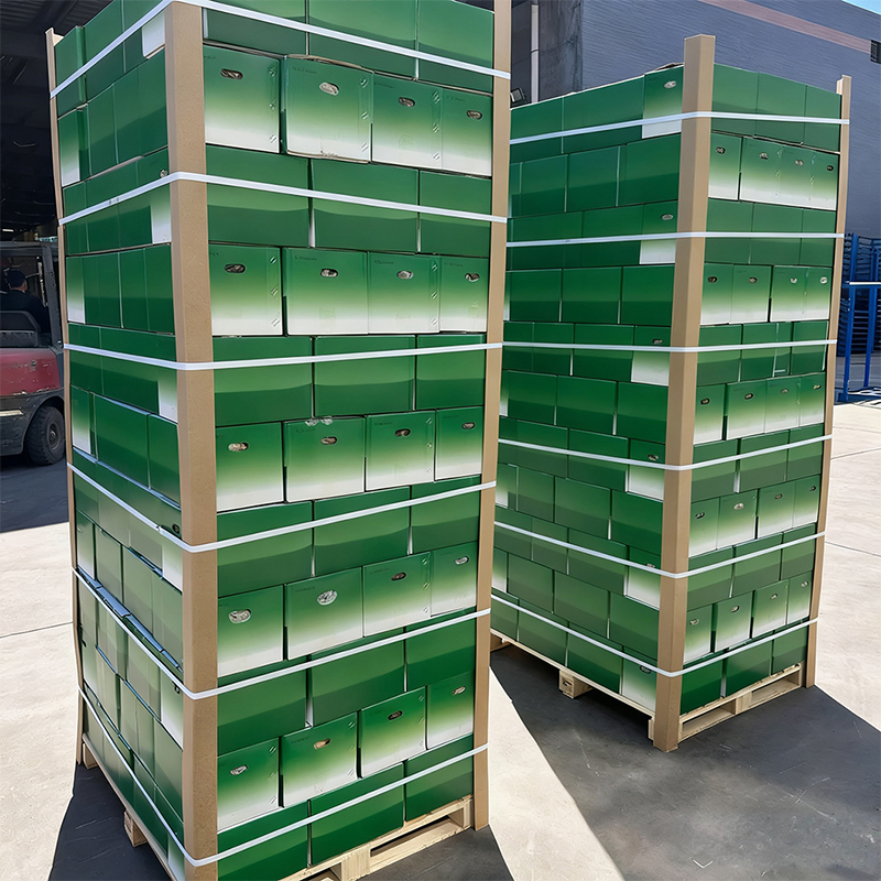 Fresh Ginger Carton Packing Inside Plastic Bag