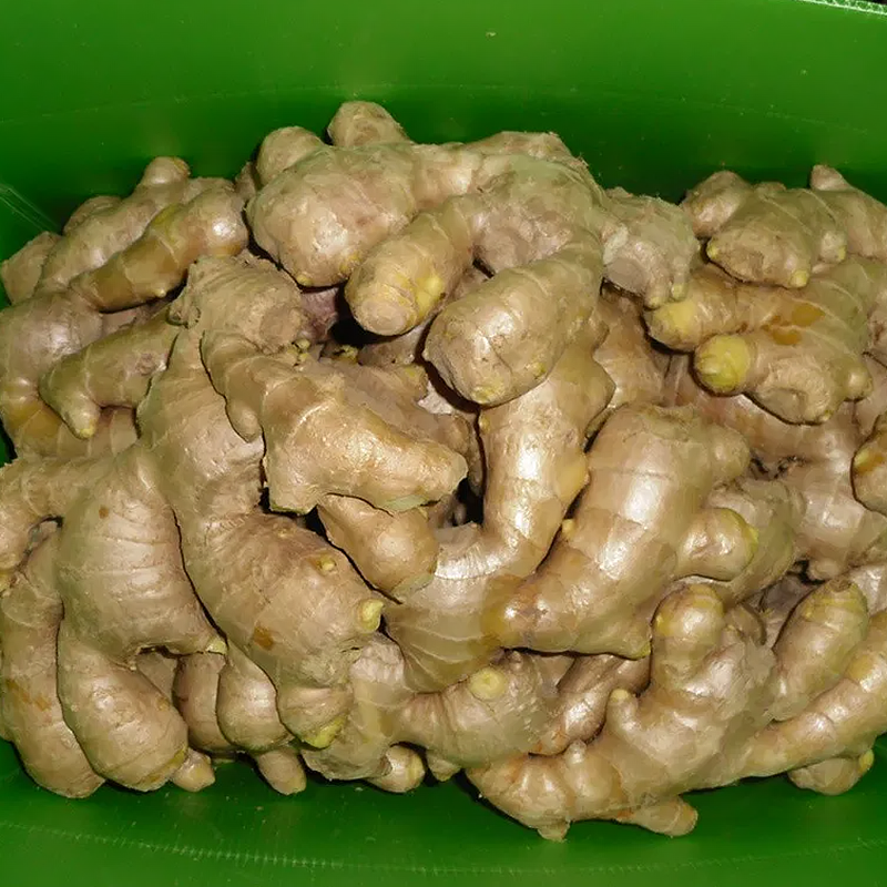 Chinese Air Dried Ginger Supplier	