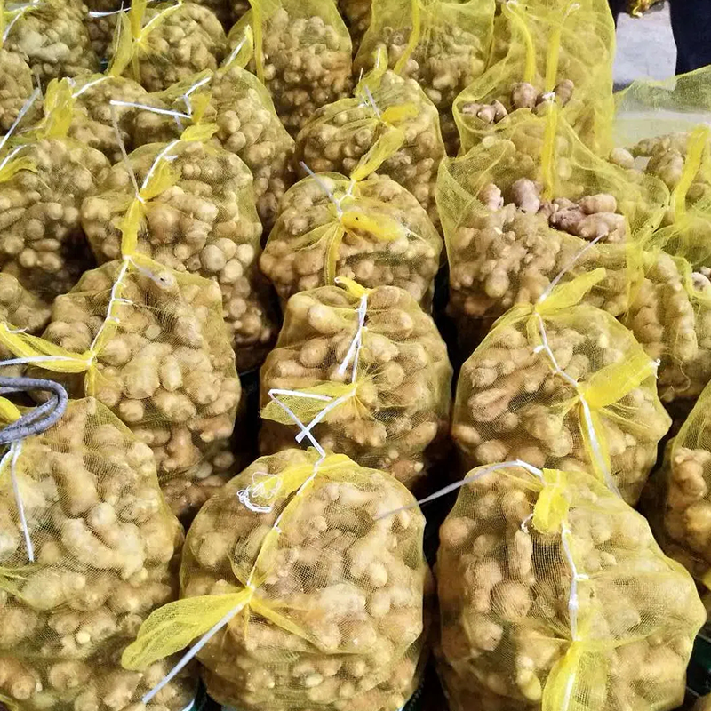 Chinese No Pesticide Fresh Organic Ginger