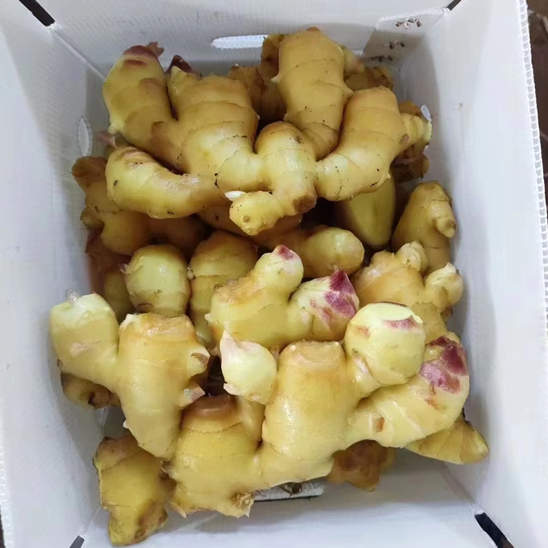 10kg Box/Carton Fresh Ginger
