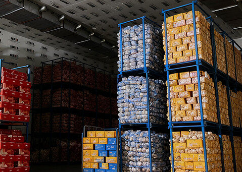 Our garlic is refrigerated at -3℃. This ensures that the freshness and nutrients of the garlic are locked in.