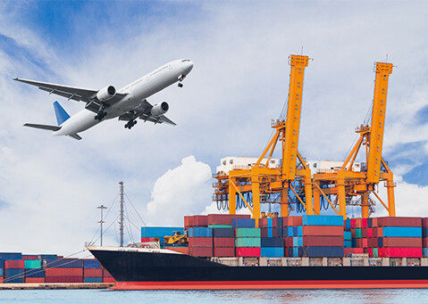 Your garlic order will be shipped from the port. You simply need to wait for delivery, and we will provide you with satisfactory service.