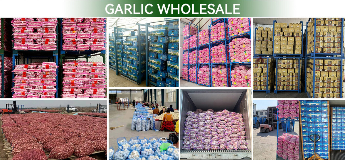 微信图片_20251117103826_3_79