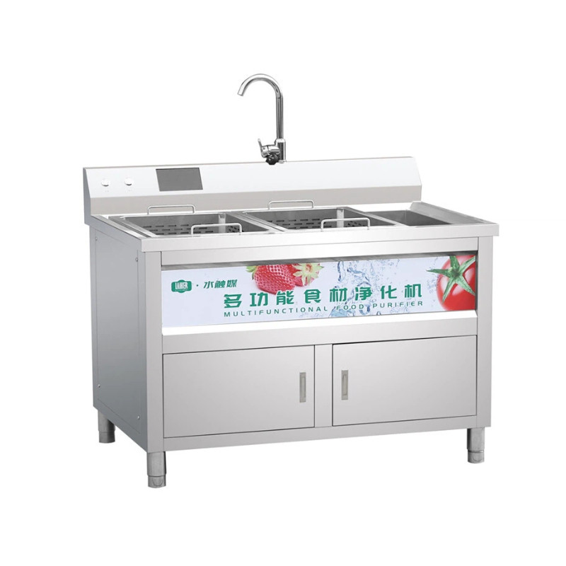 Multifunctional food purifier